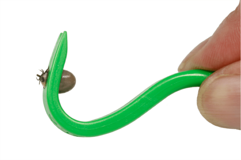 Ticks are Still Out in Full Force! Ransford Environmental Solutions